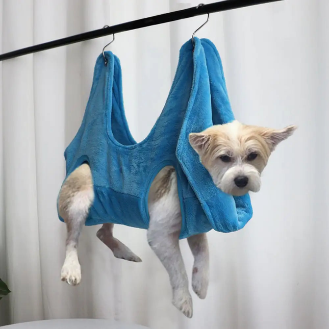 Dog hanging from a blue towel in front of a white curtain
