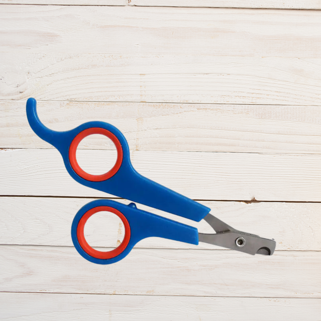 Blue and red pet nail clippers on a light wooden surface