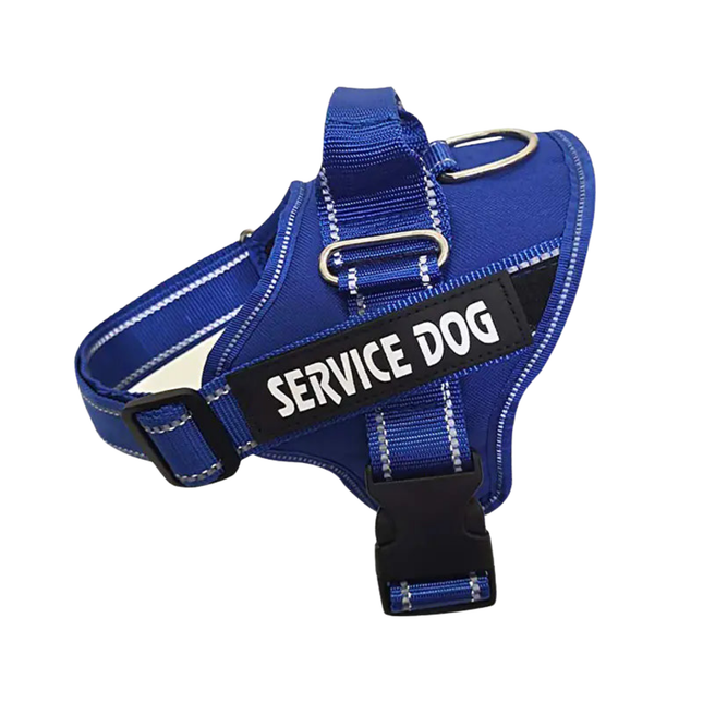 Blue dog harness with 'SERVICE DOG' label on a white background