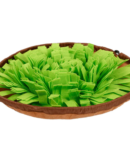Green pet bed with brown border on a white background