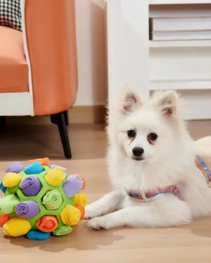 White dog with a colorful ball toy on a wooden floor.