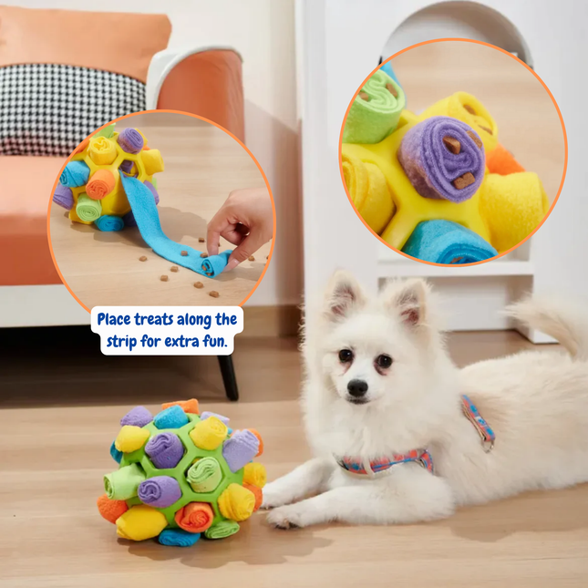 Colorful dog toy with a strip for treats, placed on a wooden floor with a dog nearby.