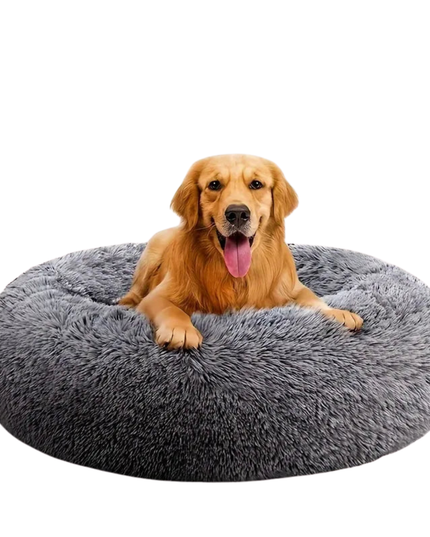Dog lying on a fluffy gray pet bed with a white background