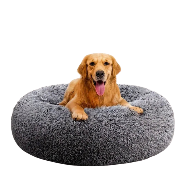 Dog lying on a fluffy gray pet bed with a white background