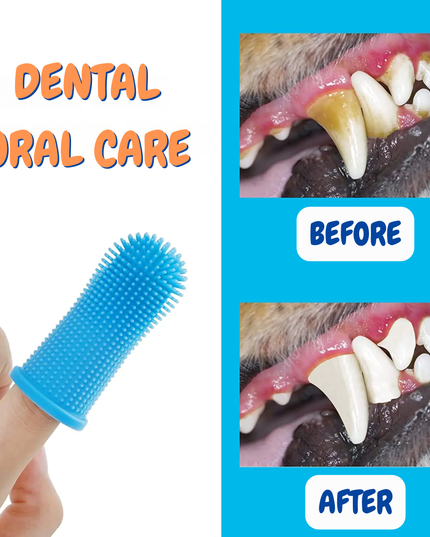 Dental oral care product with 'Before' and 'After' images of teeth on a blue background.
