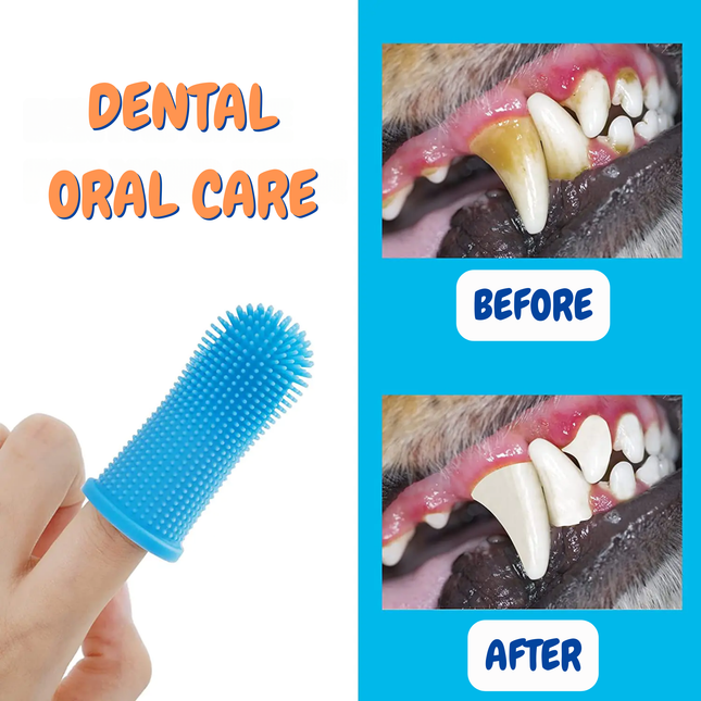 Dental oral care product with 'Before' and 'After' images of teeth on a blue background.