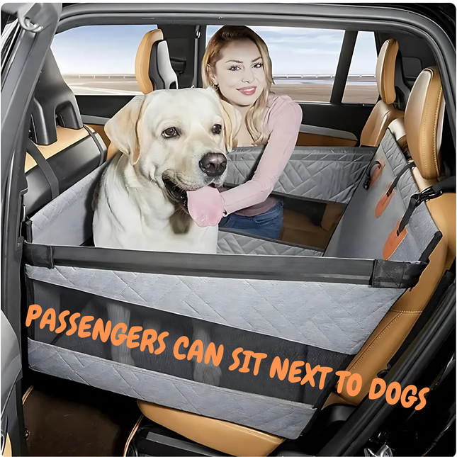 Car interior with a pet barrier and a dog inside, next to a person.