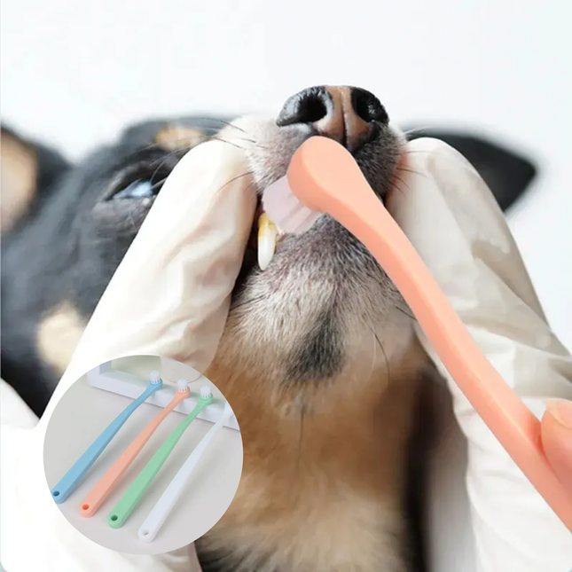 Person brushing a dog's teeth with a pink toothbrush, with close-up insets of other toothbrushes.