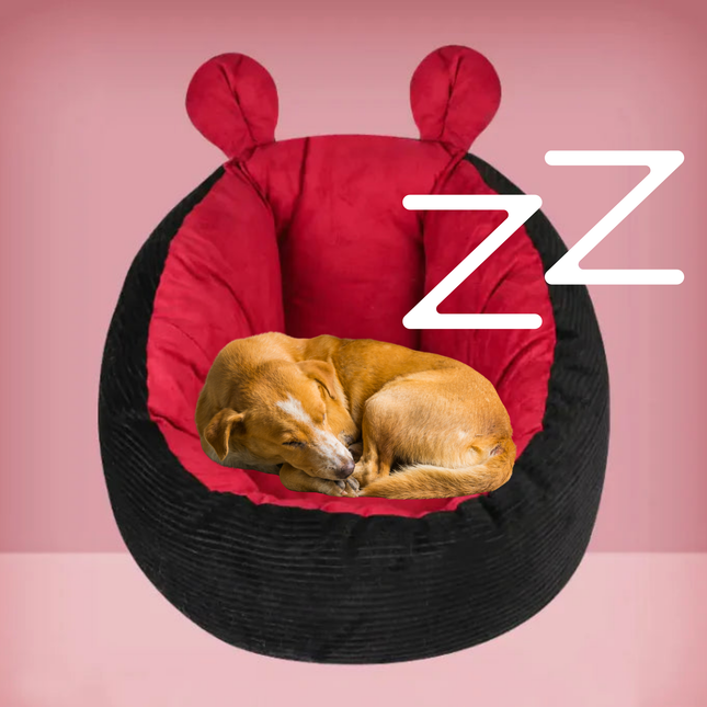 Dog sleeping on a red and black pet bed with 'ZZ' on a pink background