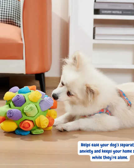 Dog playing with a colorful ball toy in a home setting.