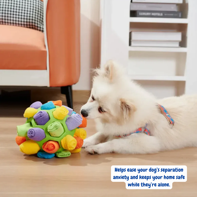 Dog playing with a colorful ball toy in a home setting.