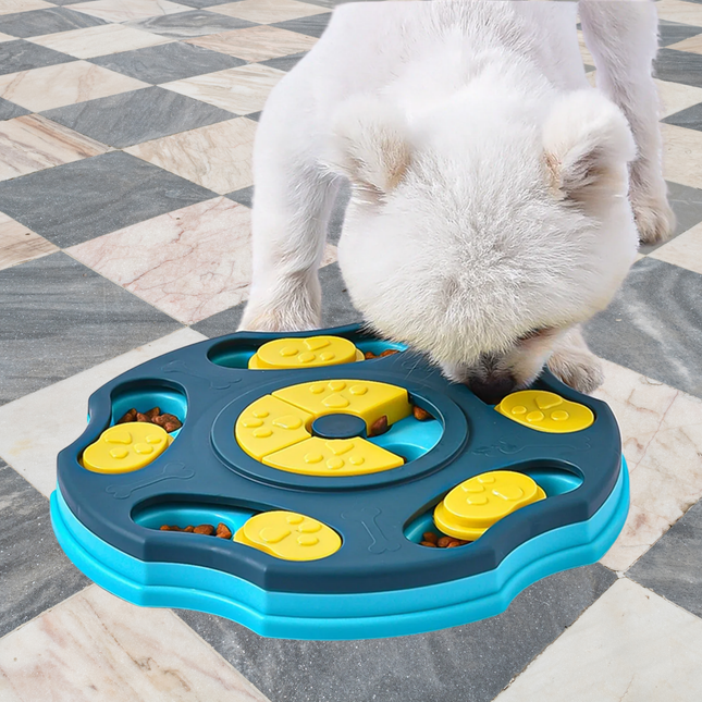 Dog interacting with a blue and yellow puzzle toy on a checkered floor.