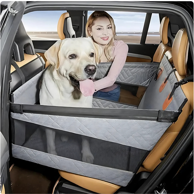 Dog in a car with a pet safety barrier and a person sitting next to it.