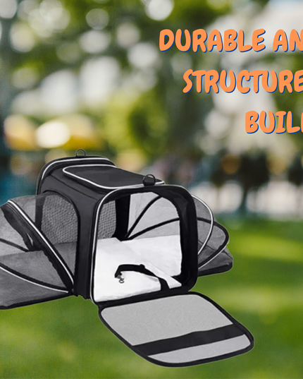 Pet carrier with text 'Durable and Structured Build' against a blurred outdoor background