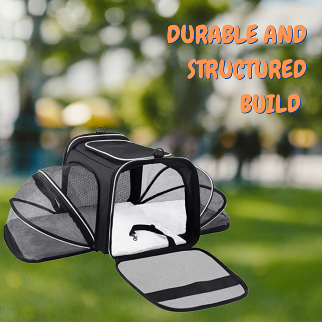 Pet carrier with text 'Durable and Structured Build' against a blurred outdoor background