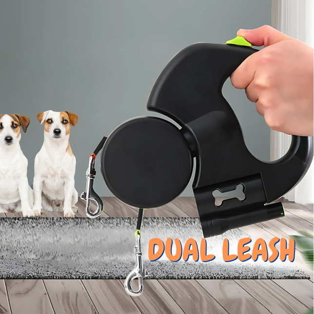 Black dual leash retriever with two dogs in the background