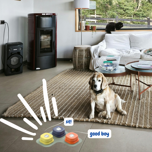 Dog sitting on a rug in a living room with electronic dog training devices displayed.