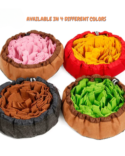Four colorful pet beds in different colors on a white background with text indicating availability in four colors.