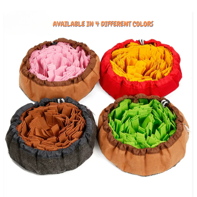 Four colorful pet beds in different colors on a white background with text indicating availability in four colors.