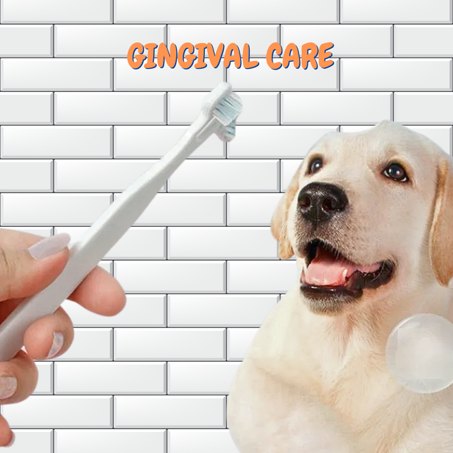Dog with a toothbrush and 'Gingival Care' text on a tiled background