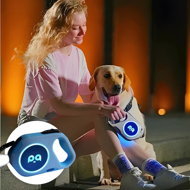 Woman sitting with a dog wearing a glowing blue collar, with a close-up of the collar inset.