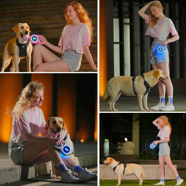 Collage of a woman walking a dog wearing a LED harness at night.