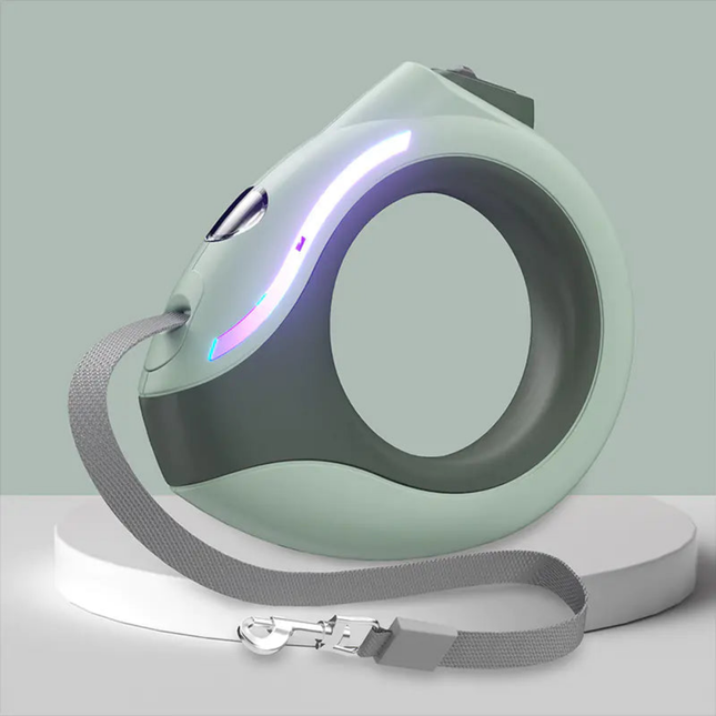 Pet leash and collar set on a light gray background