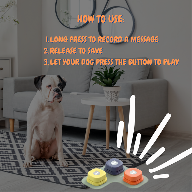 Dog sitting on a rug with colorful buttons in front of it, instructions on how to use them displayed.