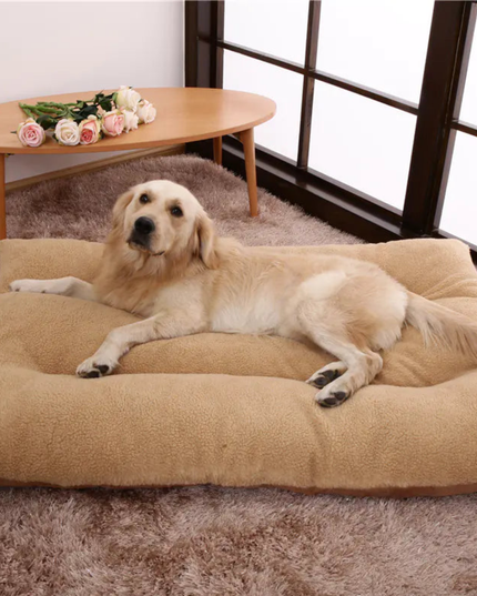 Dog lying on a large beige pet bed in a room with a small table and flowers.