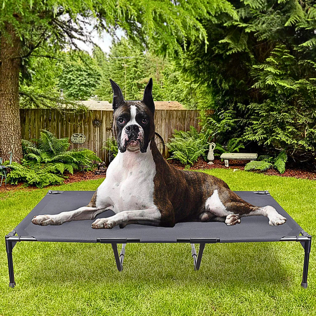 Dog lying on a elevated pet bed in a garden