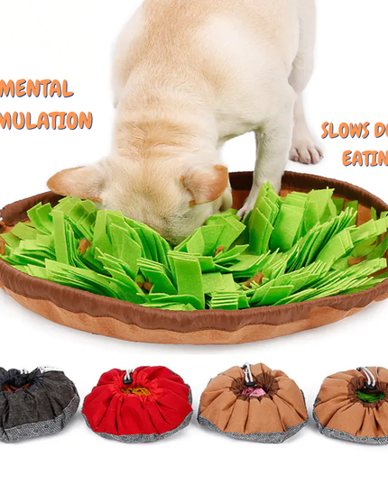 Dog toy designed to simulate grass eating with a dog interacting with it, and additional toys in different colors shown below.