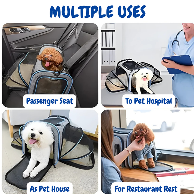 Pet carrier with multiple uses including passenger seat, pet hospital, pet house, and restaurant rest.