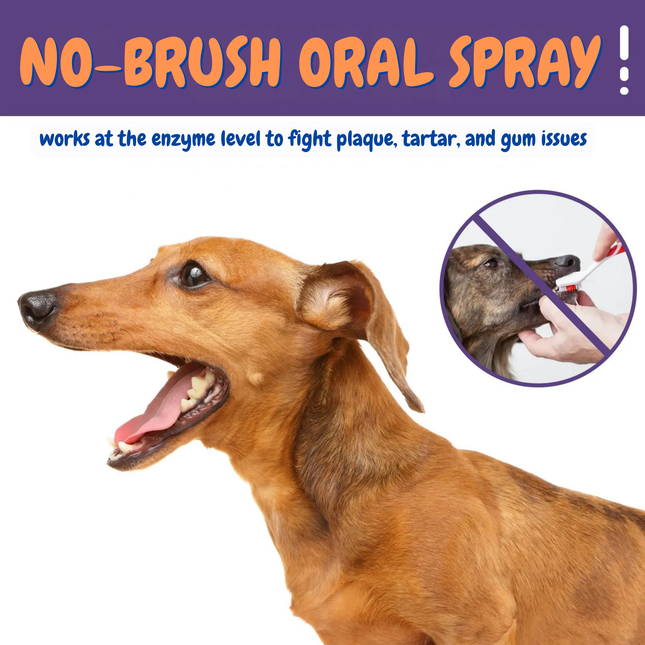 Dog with 'No-Brush Oral Spray' text and a close-up of a dog being brushed.