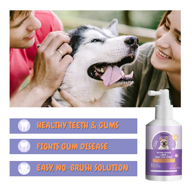 Dog with owners, dental care spray bottle, and text about dental care benefits.