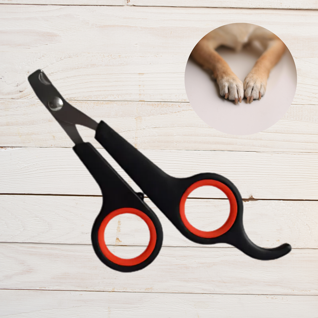 Pet nail clippers with red accents on a wooden surface, inset showing a dog's paw.