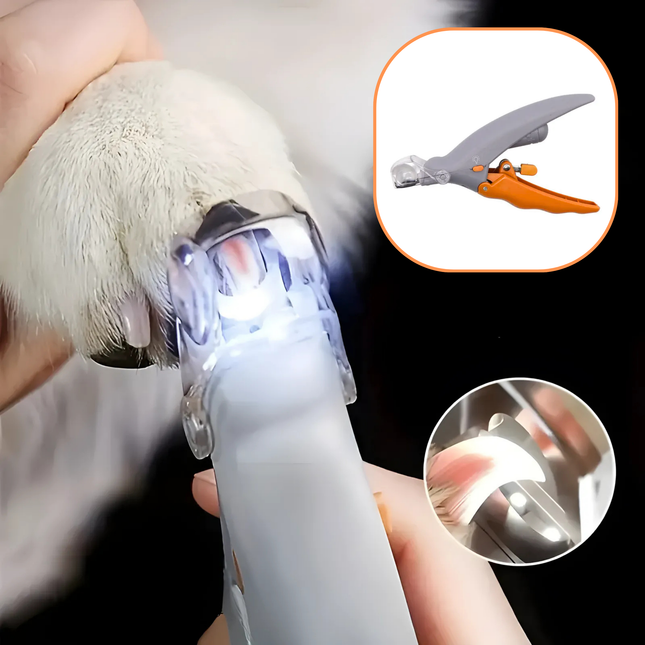 Pet nail trimmer with LED light being used on a dog's paw, with close-up inset showing tool details.