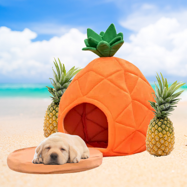 Pineapple-shaped pet house with a puppy on a beach