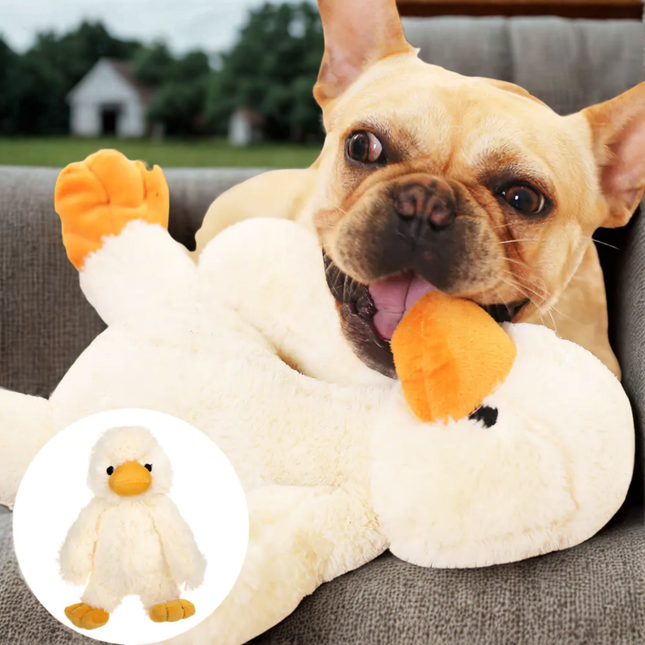 Dog playing with a plush duck toy on a couch