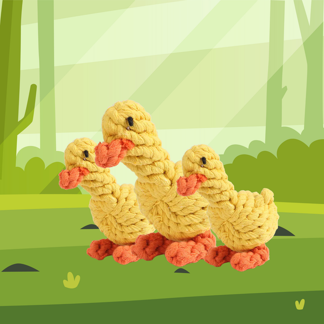 Three knitted ducks in a forest setting