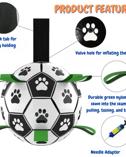Soccer ball-shaped pet toy with features highlighted on a white background