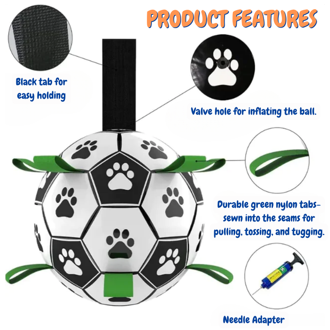 Soccer ball-shaped pet toy with features highlighted on a white background