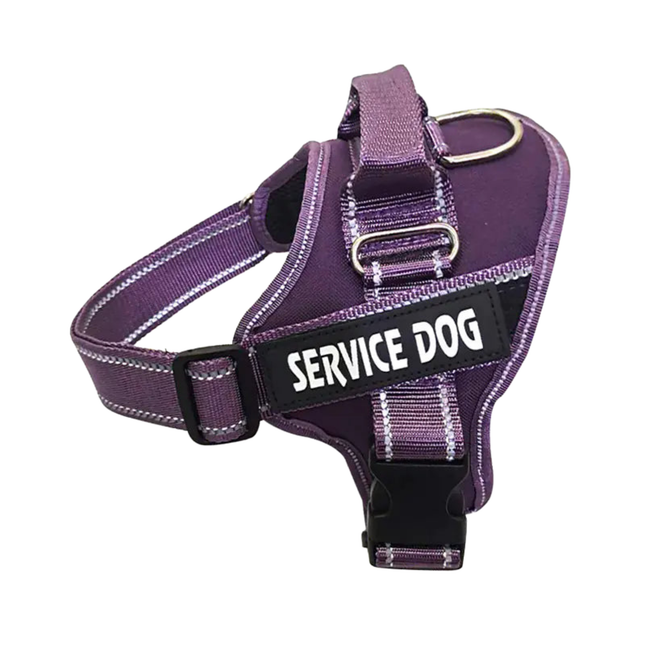 Purple service dog harness with a patch on a white background