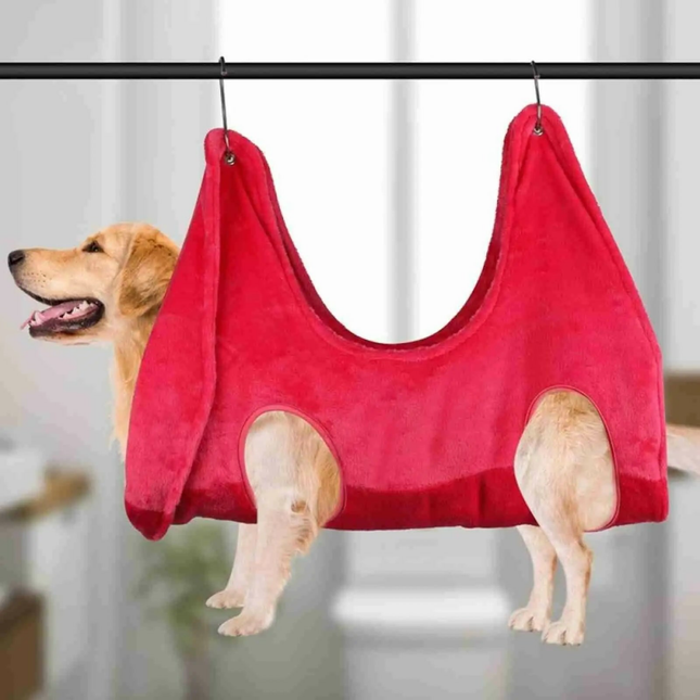 Dog wearing a red pet hammock hanging from a rod.