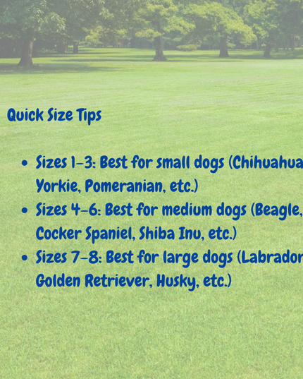 Text on grass with quick size tips for dogs against a blurred park background