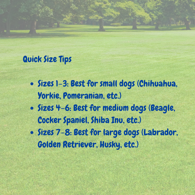 Text on grass with quick size tips for dogs against a blurred park background