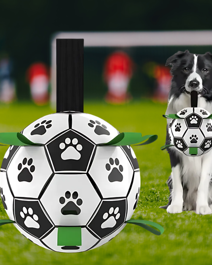 Dog with a soccer ball-shaped toy on a grassy field