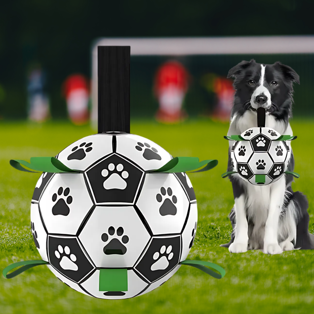 Dog with a soccer ball-shaped toy on a grassy field