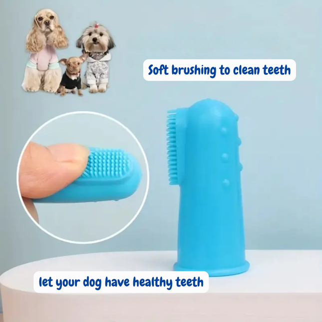 Blue pet toothbrush with text about dental care for dogs on a light blue background.