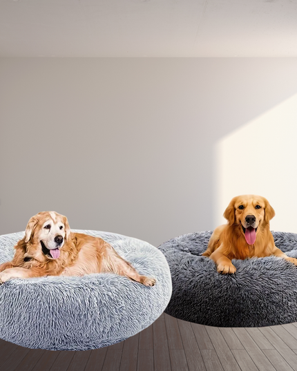 Two dogs on fluffy gray pet beds in a room with a light gray wall.