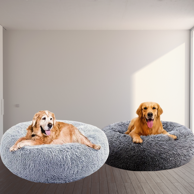 Two dogs on fluffy gray pet beds in a room with a light gray wall.